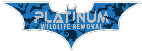 Kokomo Wildlife Control